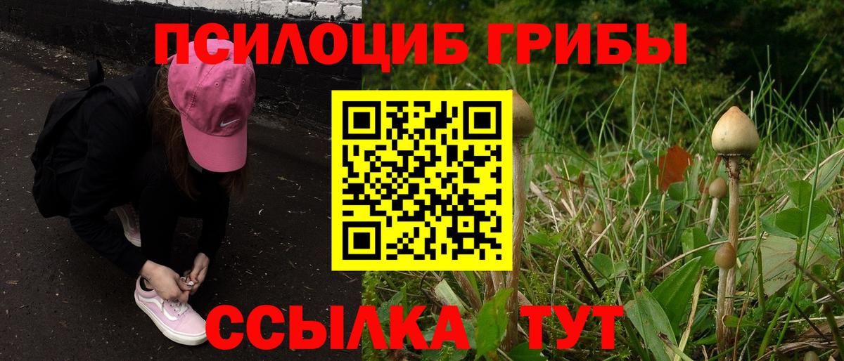 Псилоцибиновые грибы ЛСД Комсомольск-на-Амуре