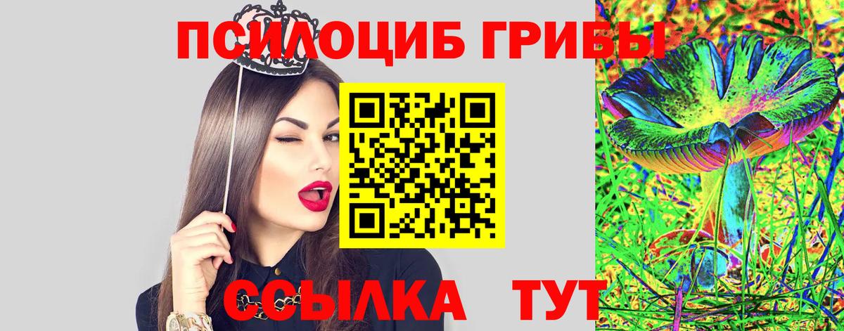 Галлюциногенные грибы MAGIC MUSHROOMS  Вход с VPN  Комсомольск-на-Амуре 